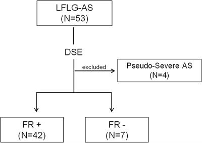 Multimodality imaging methods and systemic biomarkers in classical low-flow low-gradient aortic stenosis: Key findings for risk stratification